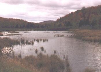 The beaver Ponds between Mount Arab and Horseshoe on a cloudy day.